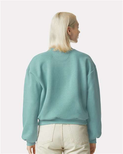 American Apparel RF494 Arctic model back