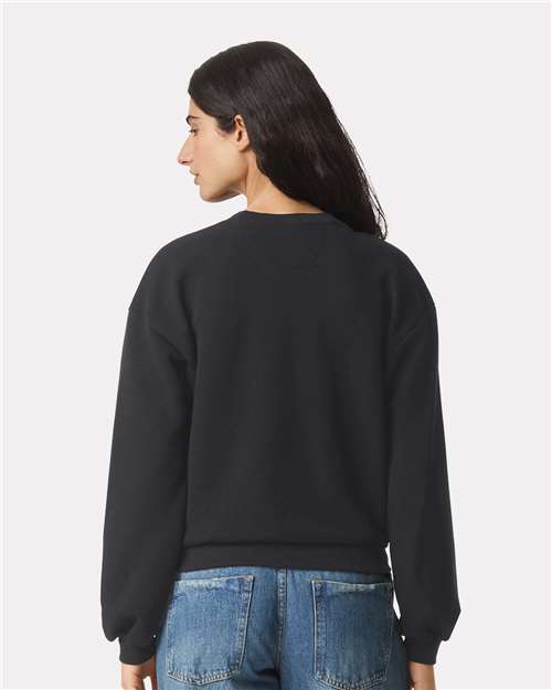 American Apparel RF494 Black model back