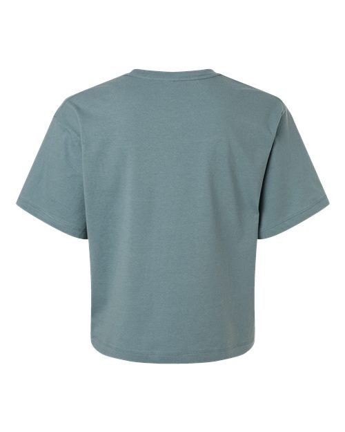 American Apparel 102 Arctic back