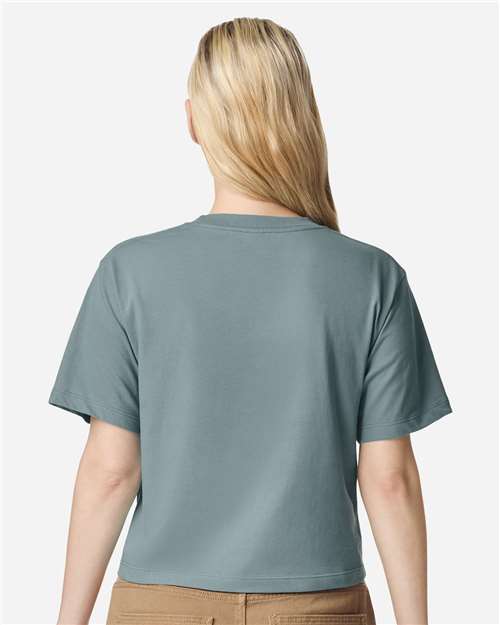 American Apparel 102 Arctic model back
