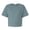 American Apparel American Apparel 102 Arctic swatch
