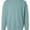 American Apparel American Apparel RF496 Arctic swatch