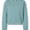American Apparel American Apparel RF494 Arctic swatch