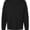 BELLA + CANVAS BELLA + CANVAS 4851GD Black swatch