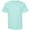 American Apparel American Apparel 1301 Celadon swatch
