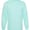 American Apparel American Apparel 1304 Celadon swatch