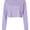 BELLA + CANVAS BELLA + CANVAS 6501 Dark Lavender swatch