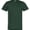 American Apparel American Apparel 2001 Forest swatch
