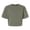 American Apparel American Apparel FTCB0 Lieutenant swatch