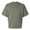 American Apparel American Apparel FTEX00 Lieutenant swatch
