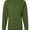 American Apparel American Apparel 2007 Olive swatch