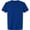 BELLA + CANVAS BELLA + CANVAS 4810GD Royal Blue swatch