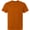 American Apparel American Apparel 9001 Rust swatch